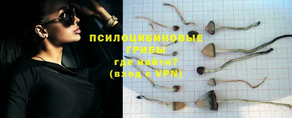 Альфа ПВП Костерёво