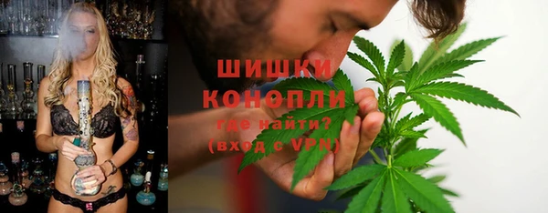 Альфа ПВП Костерёво