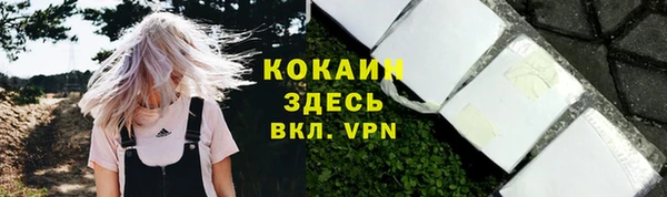 2c-b Корсаков