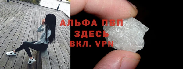амф Коряжма