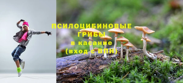 2c-b Корсаков