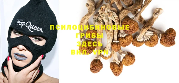 Альфа ПВП Костерёво
