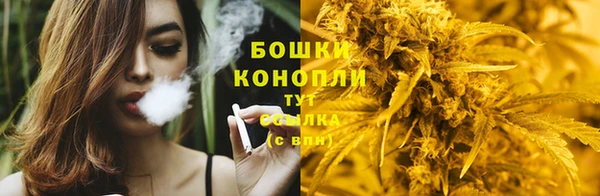 Альфа ПВП Костерёво