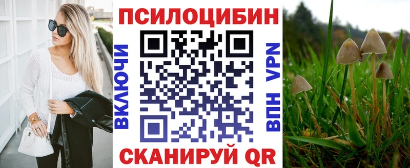Псилоцибиновые грибы Psilocybine cubensis  Купить закладки  Среднеуральск 